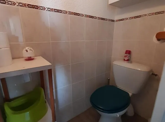 Biscarrosse-plage Jolie Maisonnette Avec Terrasse Privative - 200m De La Appartement *