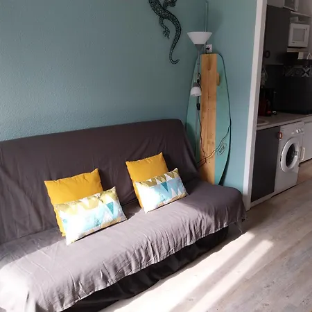 Biscarrosse-plage Jolie Maisonnette Avec Terrasse Privative - 200m De La ビスカロッス